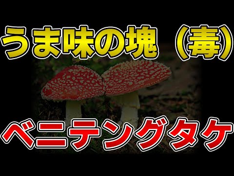 クルナコバイトについて詳しく解説