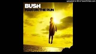 Bush -  Man on the Run - The Gift