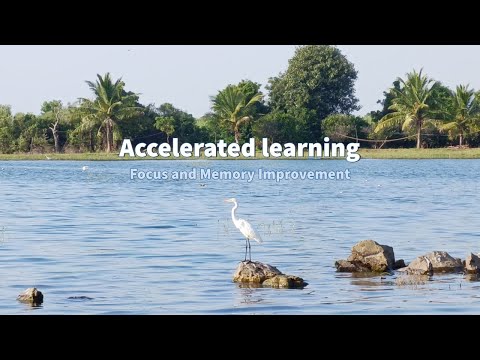 Accelerated Learning - Focus & Memory Improvement (Gamma Waves)