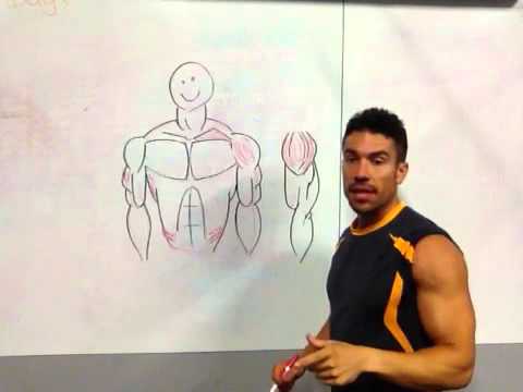 Function and Training of the Deltoids - Coach Rob - 3STRONG