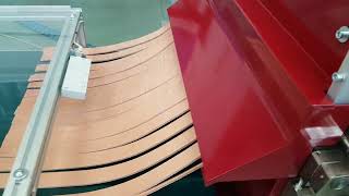 OMAC LYNX - Squadratrice, Taglistrisce e raccoglitore