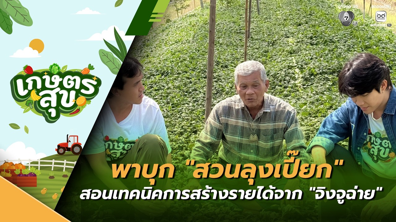 เกษตรสุข EP.10 | พาบุก "สวนลุงเปี๊ยก" จิงจูฉ่าย จ.นนทบุร?