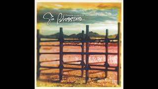 Gin Blossoms - Day Job (1999 CD Audio)