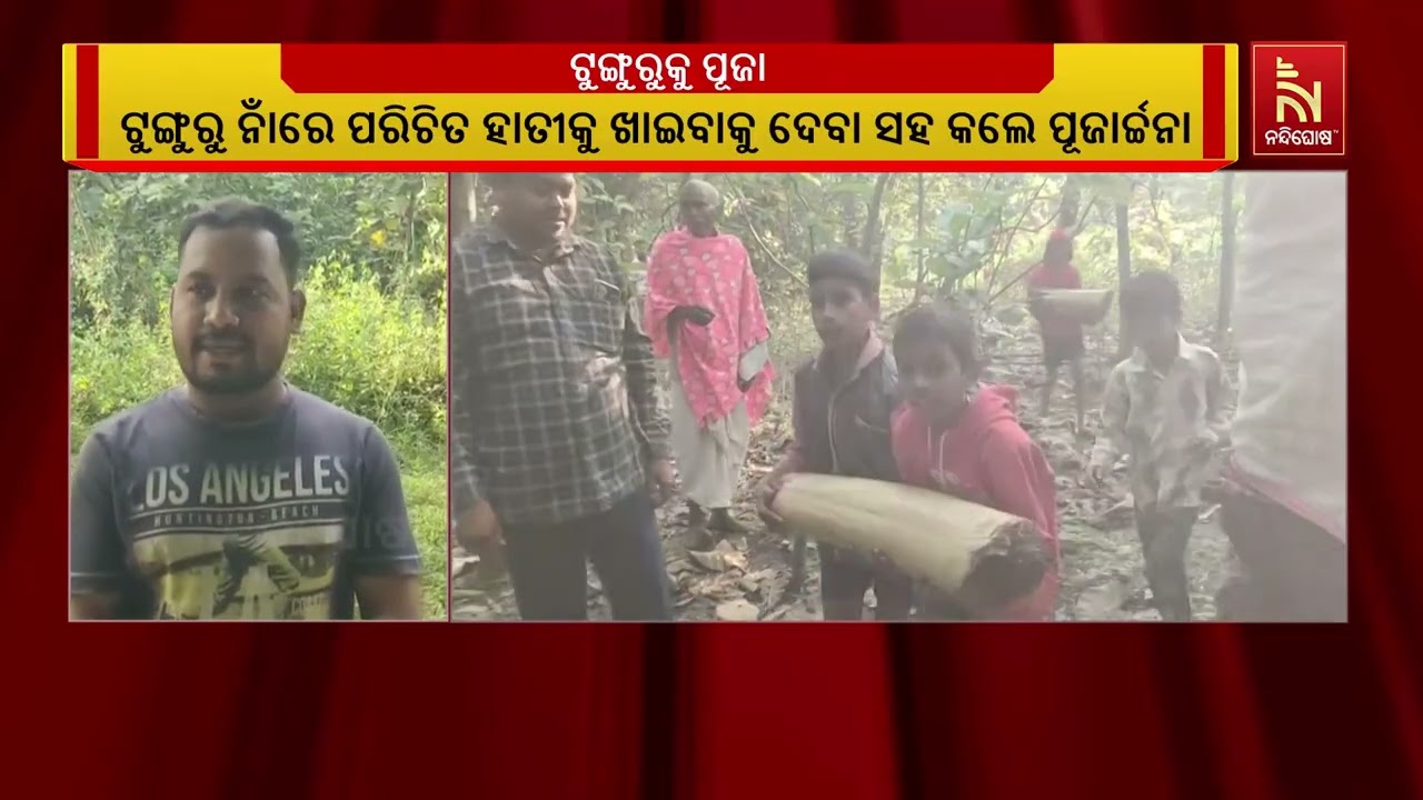 ମାର୍ଗଶୀର ମାସରେ ଉଭା ହେଲା ହାତୀ, ଲକ୍ଷ୍ମୀଙ୍କ ଆବିର୍ଭାବ ଭା