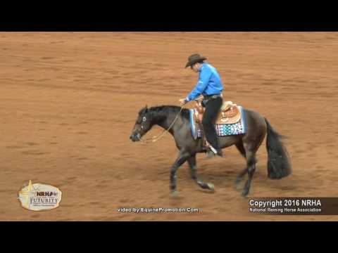 2016 NRHA Futurity Level 4 Open Champions Spooky Whiz and Andrea Fappani