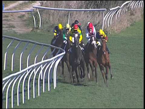 Galoppo 20/02/2016 - 1° corsa