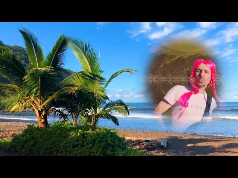 Ffredi Blino - (Take me back to) Honolulu