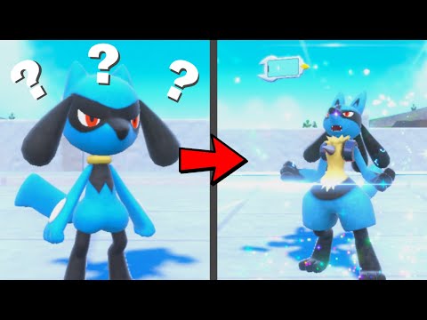 How to find Riolu and Evolve it into Lucario in Pokemon Scarlet & Violet