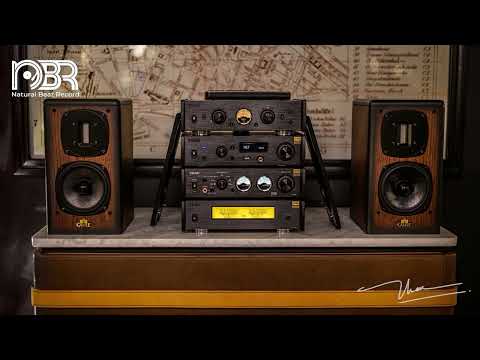 Pure Perfection | 24-Bit Hi-Res FLAC Sound Experience