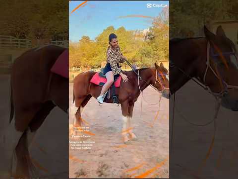 São Roque São Paulo