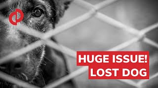 Vetco Clinics reviews: I can't believe PETCO let this happen!