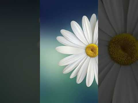 Anshdeep Kaur Cover Version Tujhe Kitna Chahne Lage Ham 