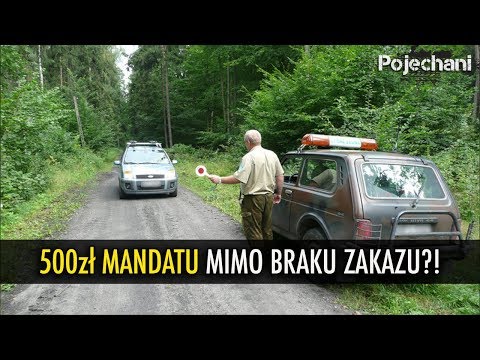 Ile kosztuje wjazd autem do lasu?