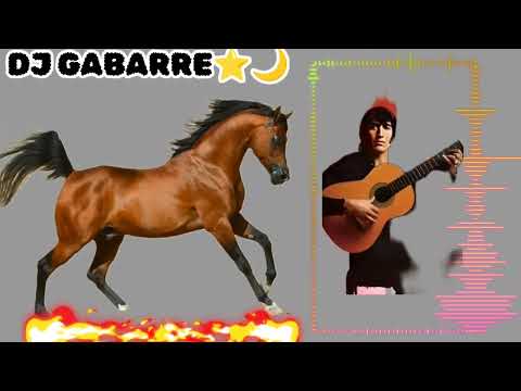 El Zingaro(Te eseñé)Remix 2024 Dj gabarre rumba