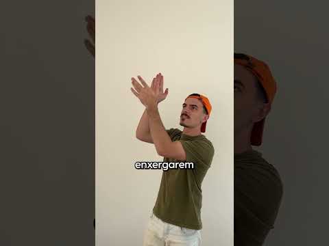 por que é tão difícil acertar uma mosca?