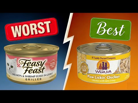 Wet Cat Food Brands To AVOID At All Costs! (And a Few That Are Safe!)
