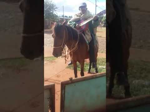 Serenata campera viva mi pais