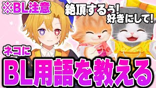 【腐男子】ネコにBL用語を英才教育してイく！#9【新人Vtuber】