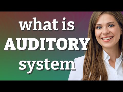 Auditory system | meaning of Auditory system