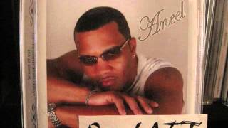 Aneel / Little Things You Do