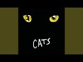 Prologue: Jellicle Songs For Jellicle Cats