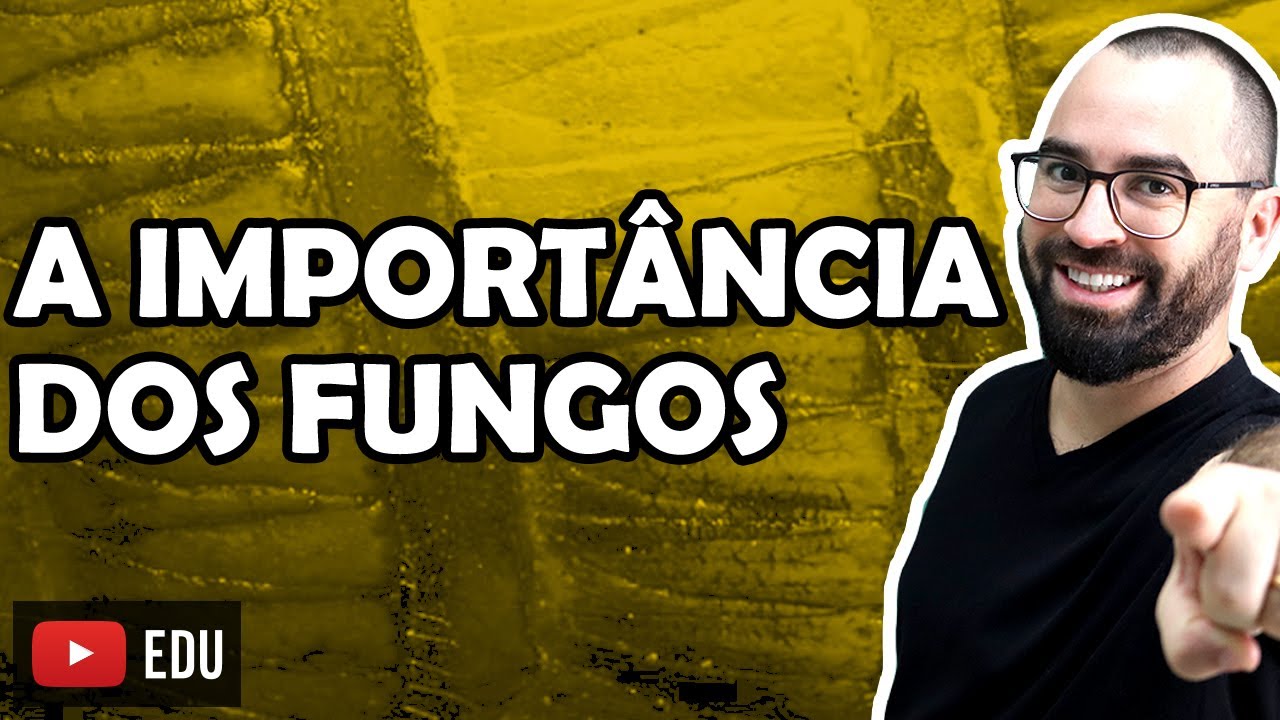 A Importância dos Fungos - Aula 12 - Módulo IV: Microbiologia, Fungos e Protistas | Prof Gui