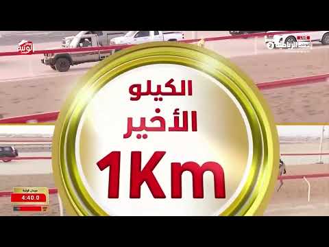 ش 5 (ترانيم) لـ محمد فرج علي بن حموده الظاهري 6:06:45 ، شارة الديوان 2026/9/13 إيذاع الوثبة