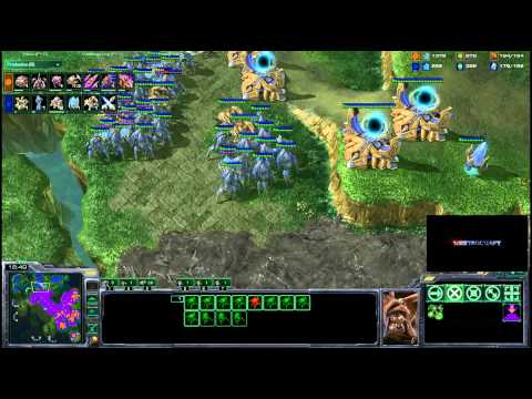 HDWT Axslav v Catz g2