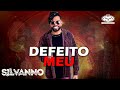 SILVANNO SALLES - DEFEITO MEU