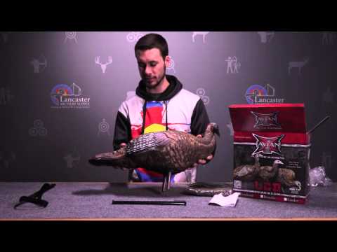 Zink Avian-X LCD Breeder Hen Turkey Decoy Review at LancasterArchery.com