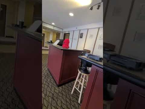 rodeway inn Hayden Island, Oregon, because of this video they kicked us out of the hotel!