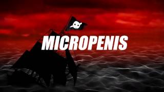 Micropenis Music Video