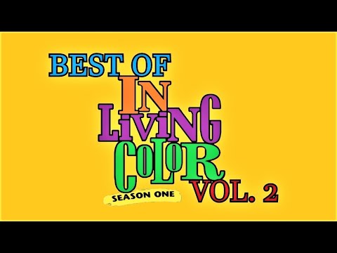 In Living Color: Best of Season 01 - Vol. 2