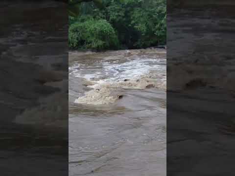 As Pedra rasa de Riachão do Poço PB
