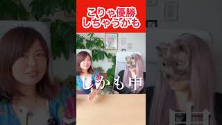 【サッカー日本代表】W杯！森保監督の干支からわかる真実とは？