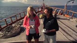 haaien Kings dating Commercial