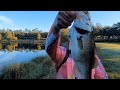 Bass Fishing on I-95!! Attacked by Red Ants. Police come in Hot!! #fishing #bassfishing