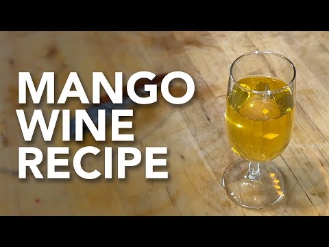 Making Mango Wine | One gallon easy recipe start to finish - with a tasting!