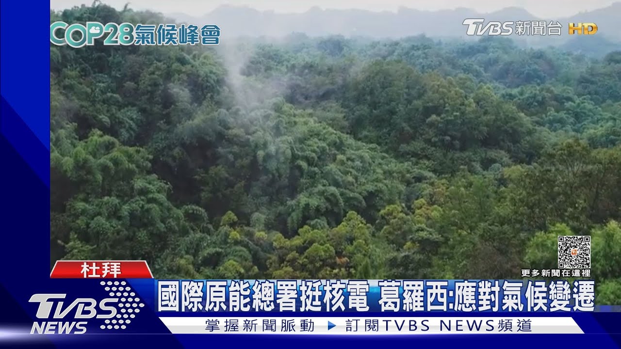 核能是「綠電」!承諾淨零排放 全球22國要提高核電產能