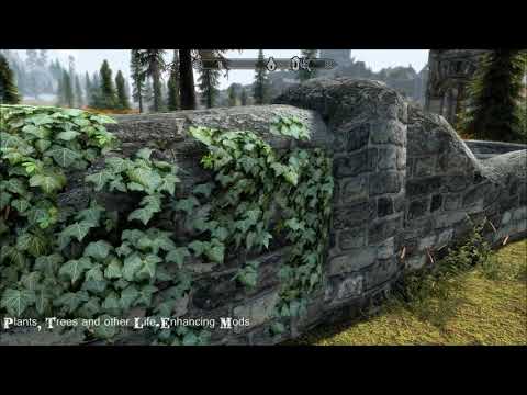 Plants, Trees and other Life-Enhancing Mods Part I