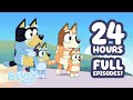 LIVE 24 HOURS Bluey Episodes In HD Best Bluey Adventures ️ 18 FULL EPISODES Bluey