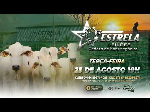 ESTRELA LEILÕES  - AO VIVO - 25/08/2026  -  19H - MORRINHOS - GOIÁS