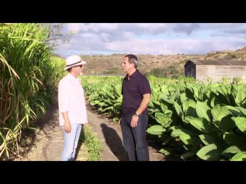 download lagu mp3 mp4 Padron Cigars, download lagu Padron Cigars gratis, unduh video klip Padron Cigars