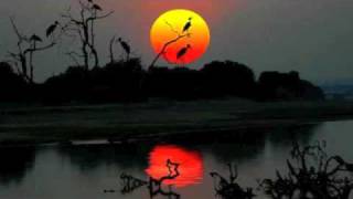 Download lagu Nimusanga with K'Millian mp3