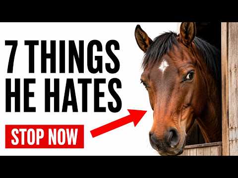 7 Things You Do at the Barn That Your Horse Has Never Forgiven (Stop Now)