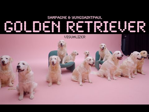 sampagne x YUNG SAINT PAUL - golden retriever (visualizer)