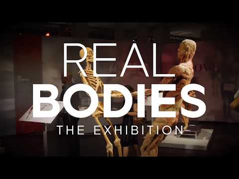 Real Bodies: The Exhibition