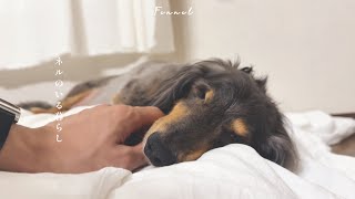 この寝顔とずっと一緒に。