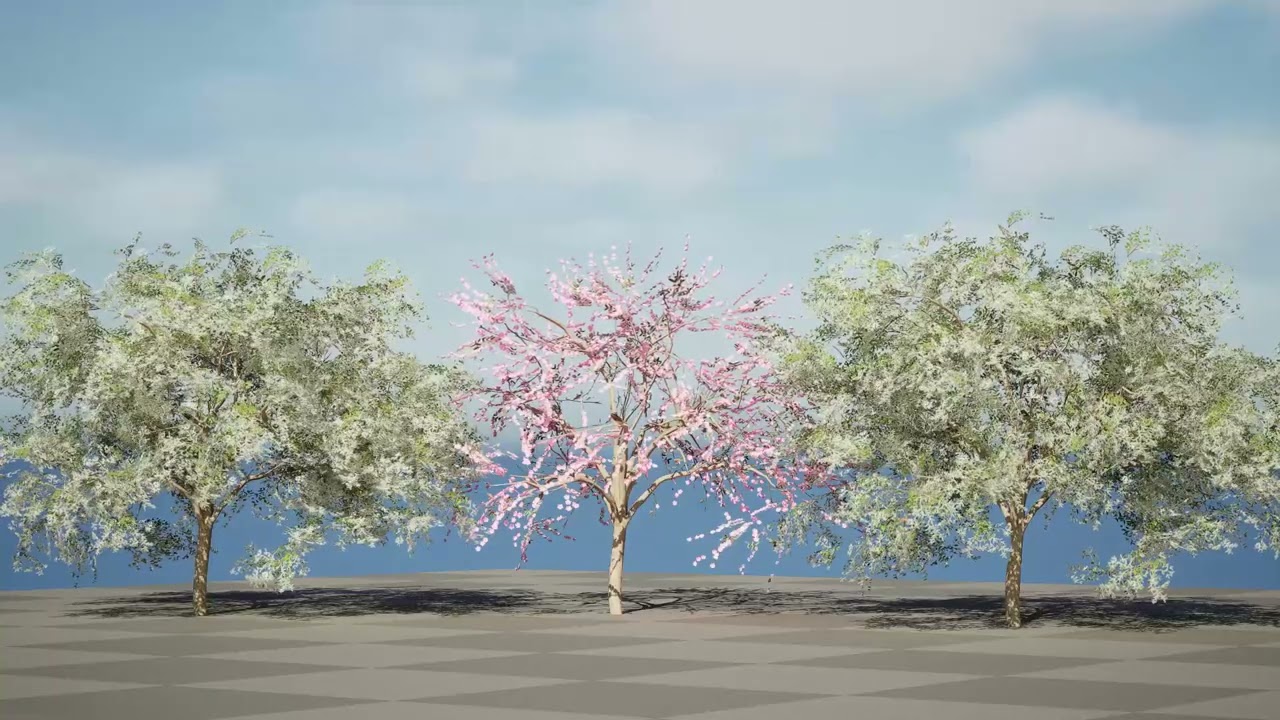 Amandier avec gratuit Modèle 3D