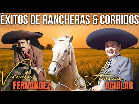 Baladas Rancheras Viejitas Mix and 3 more